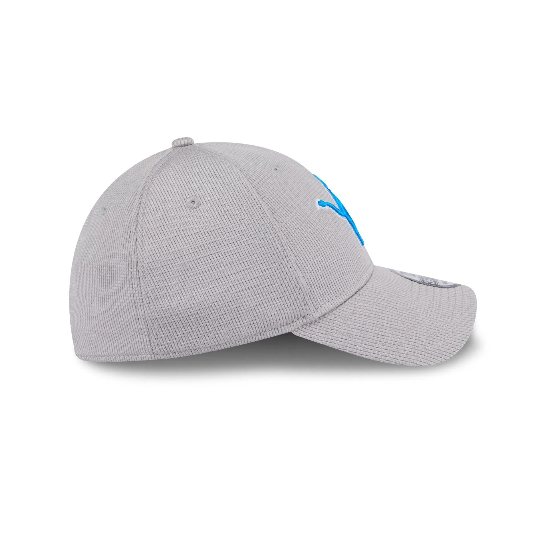 Detroit Lions Active 39THIRTY Stretch Fit Hat