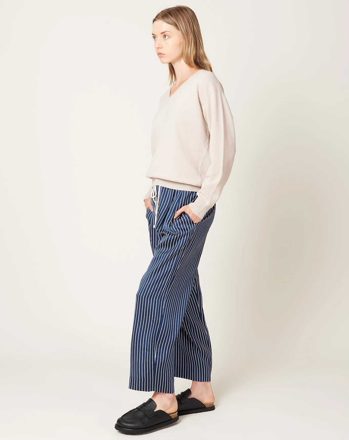 Drawstring Pleat Front Pant in Midnight Stripe