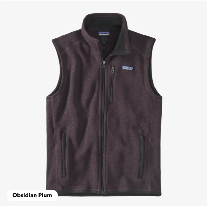 Patagonia Better Sweater Fleece Vest